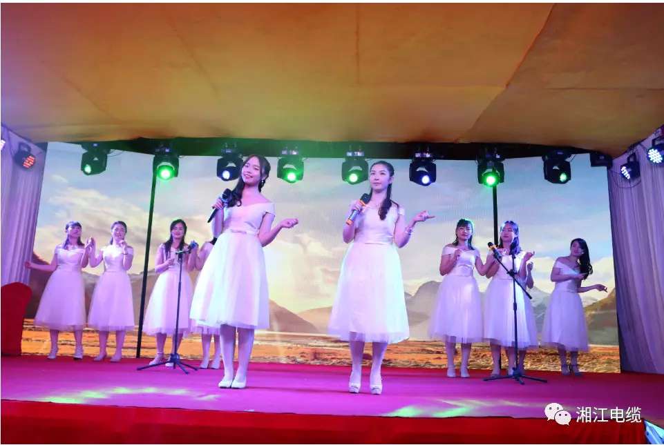 湘江電纜2019經(jīng)銷商會(huì)議暨迎新年會(huì)盛大舉行